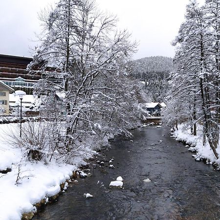 Ferienwohnung, Sauna & Gaestekarte Gratis Im Schwarzwald Baiersbronn Exterior photo