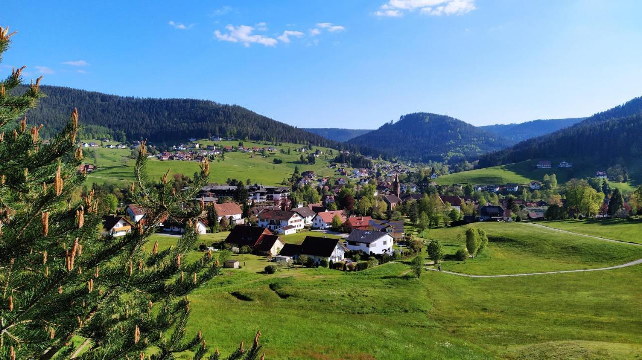 Ferienwohnung, Sauna & Gaestekarte Gratis Im Schwarzwald Baiersbronn Exterior photo