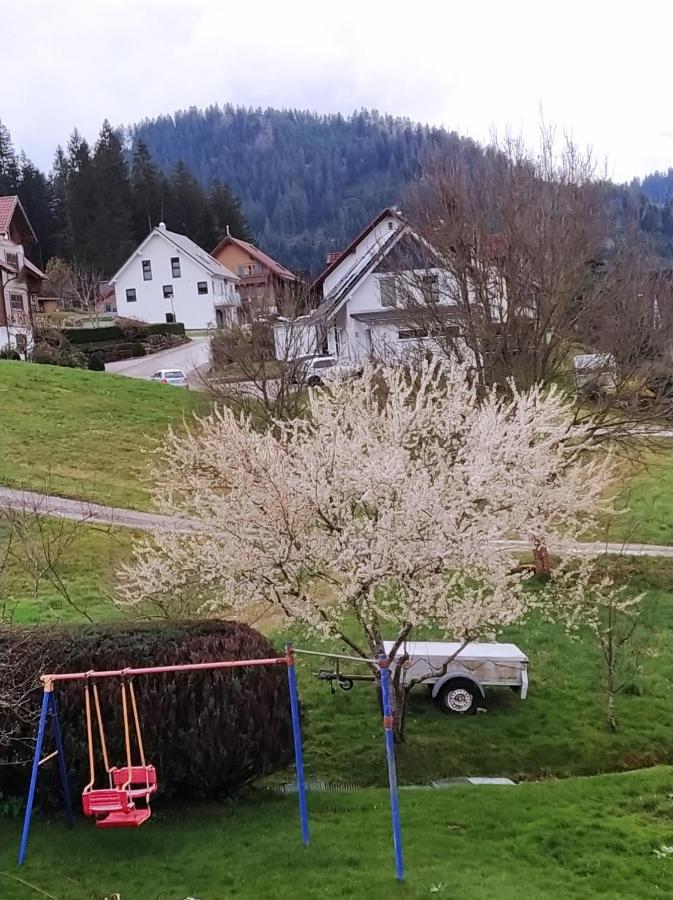 Ferienwohnung, Sauna & Gaestekarte Gratis Im Schwarzwald Baiersbronn Exterior photo